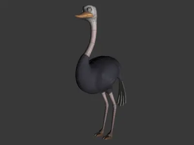 Ostrich in suit 3D model