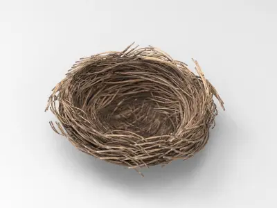 Bird Nest 3D model Low-poly 3D model