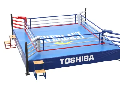 Detailed Boxing Ring 02 3D model