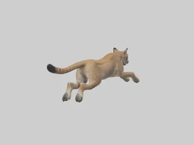 Lynx jumping model Low-poly 3D model