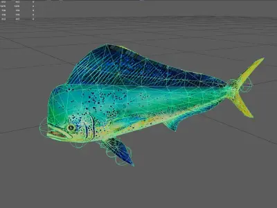 Dolphinfish Low-poly 3D model