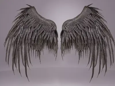 Wings  3D model
