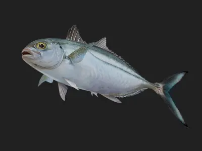 Runner Low-poly 3D model