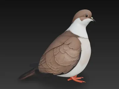 Dove Realistic 3D Model Basic - Low Poly Realistic  Low-poly 3D model