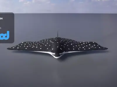 Spotted Eagle Ray 3D model