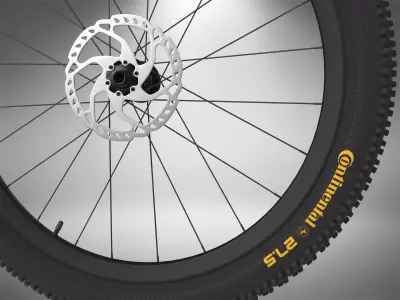 Bicycle Wheel 3D model