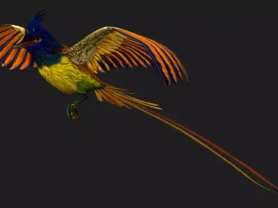 Pheasant Bird A1 Free 3D model