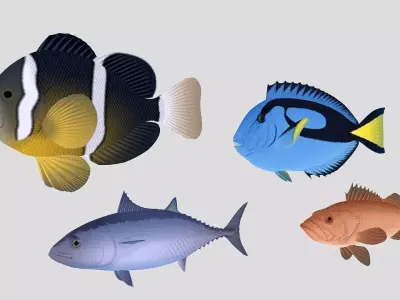 Fish Collection 04 Low-poly 3D model