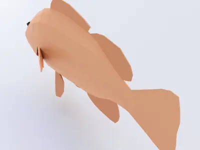 Common carp fish 3d model  Low-poly 3D model