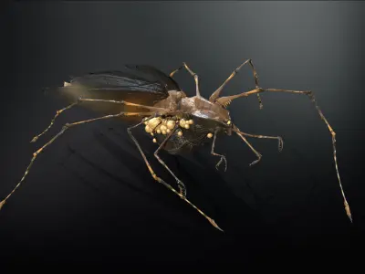 LandBug5 A1 Low-poly 3D model