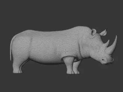 Rhino 3D scan print 3D model