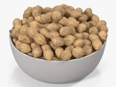 Peanuts 2 3D model