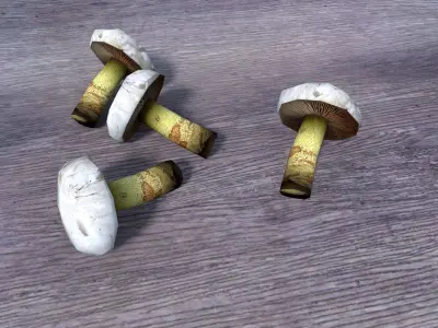 low poly mushrooms pack Low-poly 3D model