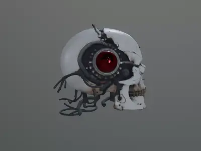 cyborg skull 3D model