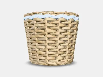 FRIDFULL Sierpot Low-poly 3D model