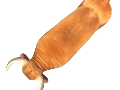 Farm Animals 3D Model Bundle - Part 2 Low-poly 3D model