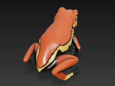 Frog  Poisonous Realistic 3D Model Basic - Low Poly Realistic Low-poly 3D model