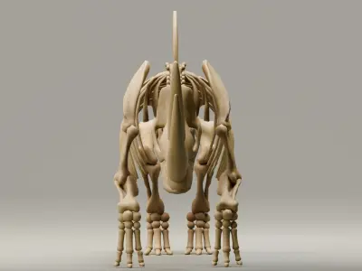 Relistic Mammals Fossil - Woolly Rhino Low-poly 3D model