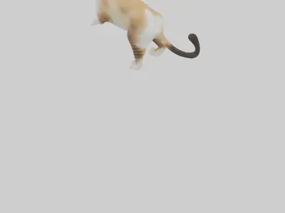 Manx Cat playing model 3 hands Low-poly 3D model