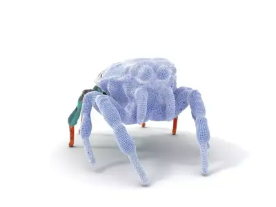 Vivid Peacock Spider model pack Low-poly 3D model