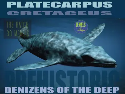 Platecarpus shark Low-poly 3D model