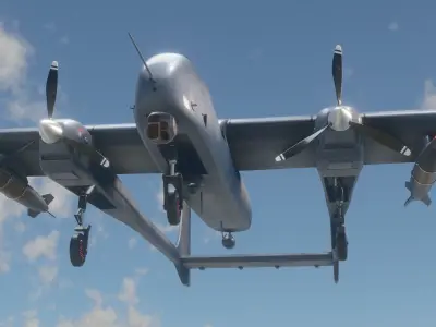 AKSUNGUR - Fuly Rigged - High Resolution Texture Low-poly 3D model