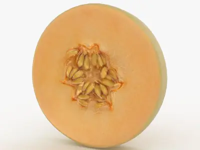 Round Slice Orange Honeydew Melon 3D model