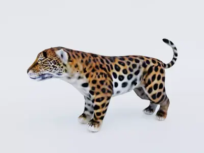 Jaguar Free 3D model