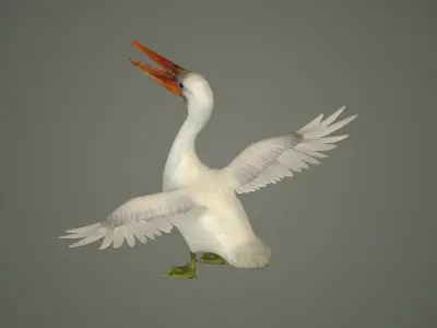 stork flamingo swan pelican cormorant bluetit pigeon  3D model