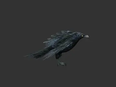 crow  bird Low-poly 3D model