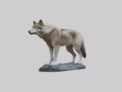 Himalayan Wolf Low-poly 3D model