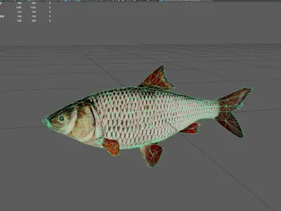 Roach Low-poly 3D model