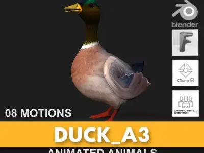 Duck A3 3D model