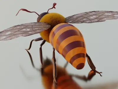 Honey Bee Fairly Realistic Low-poly 3D model