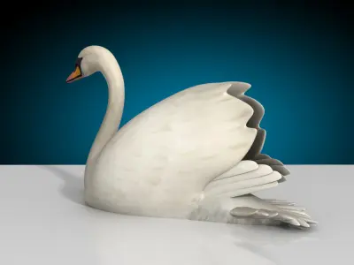 Swan - Swim and Walk 3D model