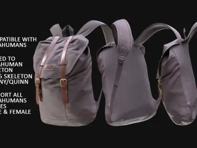 Backpack 56 - All MH Bodies and UE5 Skeletons - Rigged Low-poly 3D model