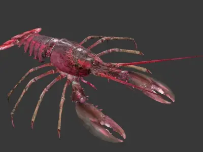 Homarus americanus lobster Low-poly 3D model
