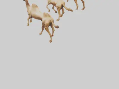 Camels galloping model Low-poly 3D model