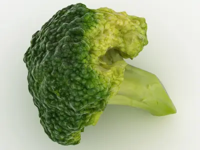 Broccoli Florets 02 3D model