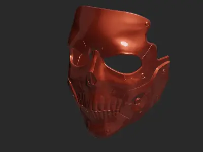 Skull DS Mask 3D print model