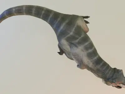 T REX -Tyrannosaurus Rex 3D model