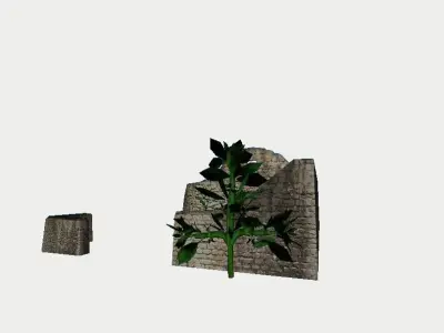 Abandoned Ruin Overgrown with Plants 3D model