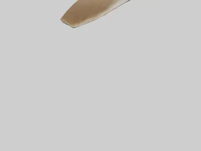 Coyote Tail Model 3D model