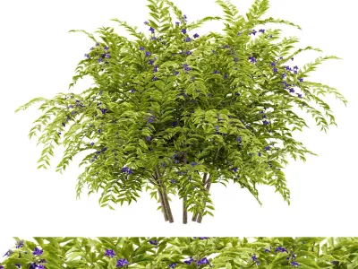 Flower Bush Plant Free 3D model
