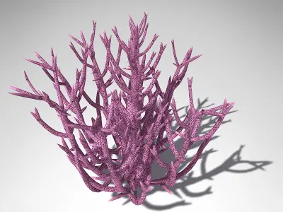 XfrogPlants Birds Nest Coral 3D model