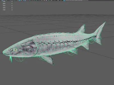 Sturgeon Low-poly 3D model