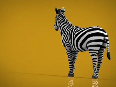ZEBRA Low-poly 3D model