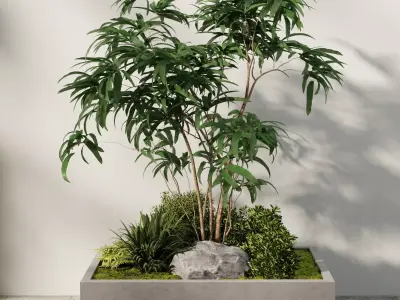 Minimal Courtyard Planter Tree Free 3D model