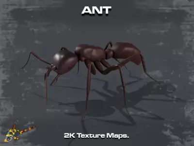 Common Ant  Low-poly 3D model