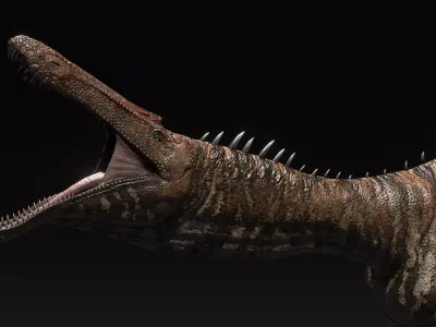 Suchominus Asset Pack Low-poly 3D model